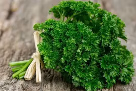 5 loại thảo dược tốt cho sức khỏe trong mùa đông