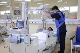 Dọn vườn, người đàn ông bị ong vò vẽ đốt hơn 50 vết