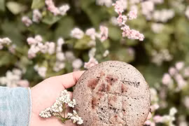 Lạ miệng 10 món làm từ hoa