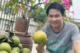 Xuýt xoa khu vườn trĩu quả trên sân thượng nhà ca sĩ Trọng Tấn