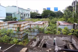 Video: Rừng rậm bao phủ trạm xử lý nước thải tiền tỷ ở Hà Nội