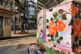 Video: Tủ điện ở Hà Nội đồng loạt "nở hoa lá" đón Tết