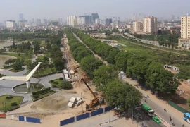 Video: Đường nghìn tỷ khác lạ sau 1 năm "khai tử" hàng cổ thụ