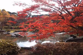 8 điểm ngắm mùa thu đẹp nhất xứ Phù tang 