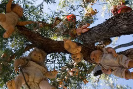 Đột nhập những "hòn đảo ma" dị thường nhất thế giới