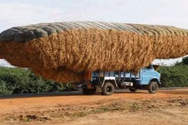 Phì cười với những chiếc xe chở quá tải cực bá đạo