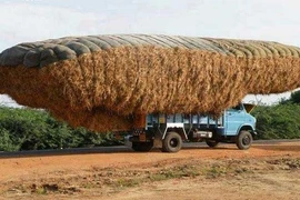 Phì cười với những chiếc xe chở quá tải cực bá đạo