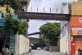 Doanh thu tăng 110 tỷ đồng, tại sao Bia Thanh Hóa vẫn lỗ?