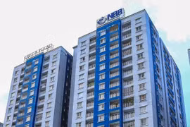 Đầu tư Năm Bảy Bảy làm ăn ra sao sau khi 'về tay' CII?