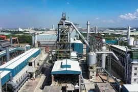 Cổ phiếu 'trà đá' POM tăng trần vì lý do gì?