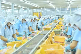 Nam Việt (ANV) phát hành cổ phiếu, dự kiến tăng vốn gấp đôi