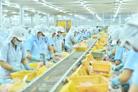 Nam Việt (ANV) phát hành cổ phiếu, dự kiến tăng vốn gấp đôi