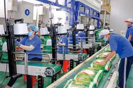 Liên tục báo lỗ, Gạo Trung An (TAR) còn bị kiểm toán từ chối cho ý kiến