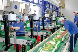 Liên tục báo lỗ, Gạo Trung An (TAR) còn bị kiểm toán từ chối cho ý kiến