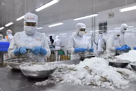 Cổ phiếu giảm sâu, lãnh đạo trẻ Camimex và cổ đông lớn cùng 'gom' hàng