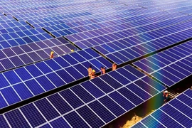 730 triệu cổ phiếu BCG Energy (BGE) sắp chào sàn UPCoM