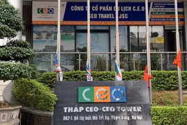 Cổ đông CEO Group sắp hưởng lợi từ cổ tức tỷ lệ 100:5
