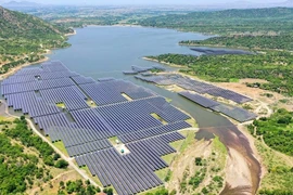 Năng lượng Ninh Thuận chậm thanh toán 2 tỷ đồng gốc trái phiếu