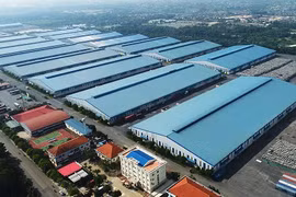 Tân Cảng Long Bình phát hành 12,35 triệu cổ phiếu để tăng vốn 55%