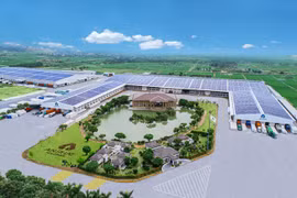 Dàn lãnh đạo An Phát Holdings bất ngờ thoái sạch vốn trước thềm Đại hội bất thường