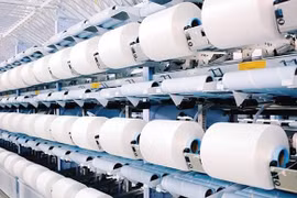 Sợi Thế Kỷ ghi nhận khoản lỗ kỷ lục vì biến động tỷ giá