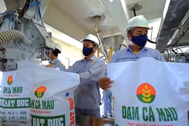 Đạm Cà Mau (DCM) hoàn thành 77% kế hoạch xuất khẩu 6 tháng đầu năm