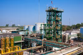 Sản lượng tiêu thụ tăng mạnh, lãi ròng CSV tăng 38% trong quý II