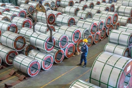 Tập đoàn Hoa Sen lãi gấp 19 lần cùng kỳ, hàng tồn kho tăng vọt