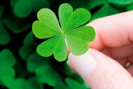 Bộ 3 con giáp siêu may mắn, muốn gì được nấy đầu năm 2019