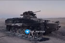 Ukraine thiệt hai xe thiết giáp Weasel, Su-57 nghi bay vào vùng trời Ukraine 