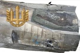 Ukraine tuyên bố tên lửa Zircon có “tốc độ chậm”, Nga lặng im