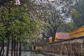 Thời tiết ngày 23/3: Miền Bắc tăng nhiệt, Hà Nội 28 độ