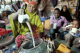 Sự nhộn nhịp ở vùng ly khai phía bắc Somalia