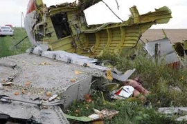 Báo Nga tố Ukraine bắn hạ máy bay Malaysia