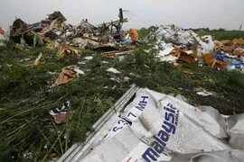 “Chiến đấu cơ Su-25 không thể bắn hạ MH17“
