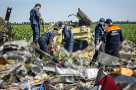 Hà Lan: MH17 có thể bị tên lửa đất đối không bắn