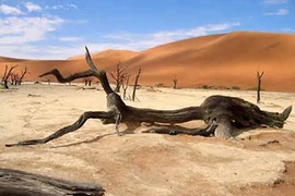 Những “lò hỏa thiêu” khủng khiếp trên thế giới