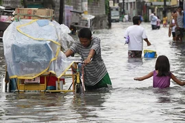 Bão Linfa đổ bộ, tàn phá Philippines