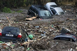 Lũ lớn ở Thủ đô Gruzia, thú dữ lang thang khắp phố