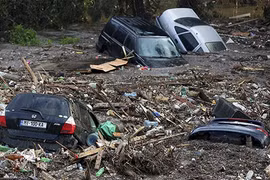 Lũ lớn ở Thủ đô Gruzia, thú dữ lang thang khắp phố