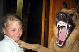 Cười té ghế với những khoảnh khắc kì cục 