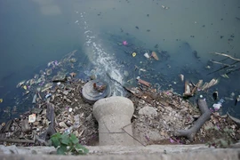 Hồ Kim Liên cạn trơ đáy, cá chết bốc mùi