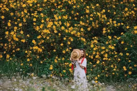 Tháng 12 về Đà Lạt “trẩy hội” hoa