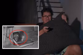 Đang xem phim kinh dị, giật mình tưởng hiệu ứng nào ngờ "quái thú" hiện hình