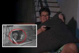 Đang xem phim kinh dị, giật mình tưởng hiệu ứng nào ngờ "quái thú" hiện hình