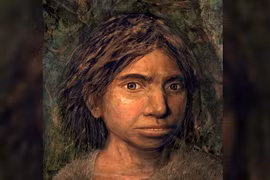 Công bố khám phá mới về tổ tiên loài người 