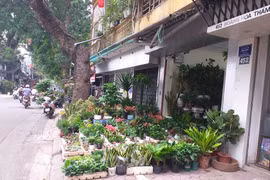 Vỉa hè đường Hoàng Hoa Thám bị chiếm dụng tràn lan