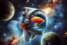 Choáng váng phi hành gia Trung Quốc nuôi thành công cá trong không gian 