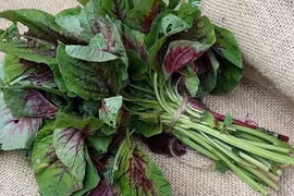 Lợi ích tuyệt vời của rau dền 