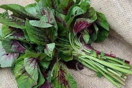 Lợi ích tuyệt vời của rau dền 